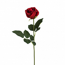Роза полузакрытая 55см.,красная