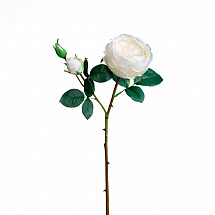 Роза Остина 64см.,белая