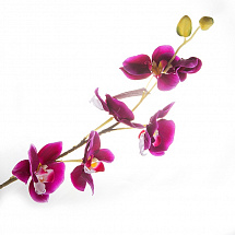 Орхидея (H-81см)