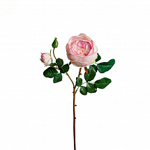 Роза Остина 64см.,светло-сиреневый
